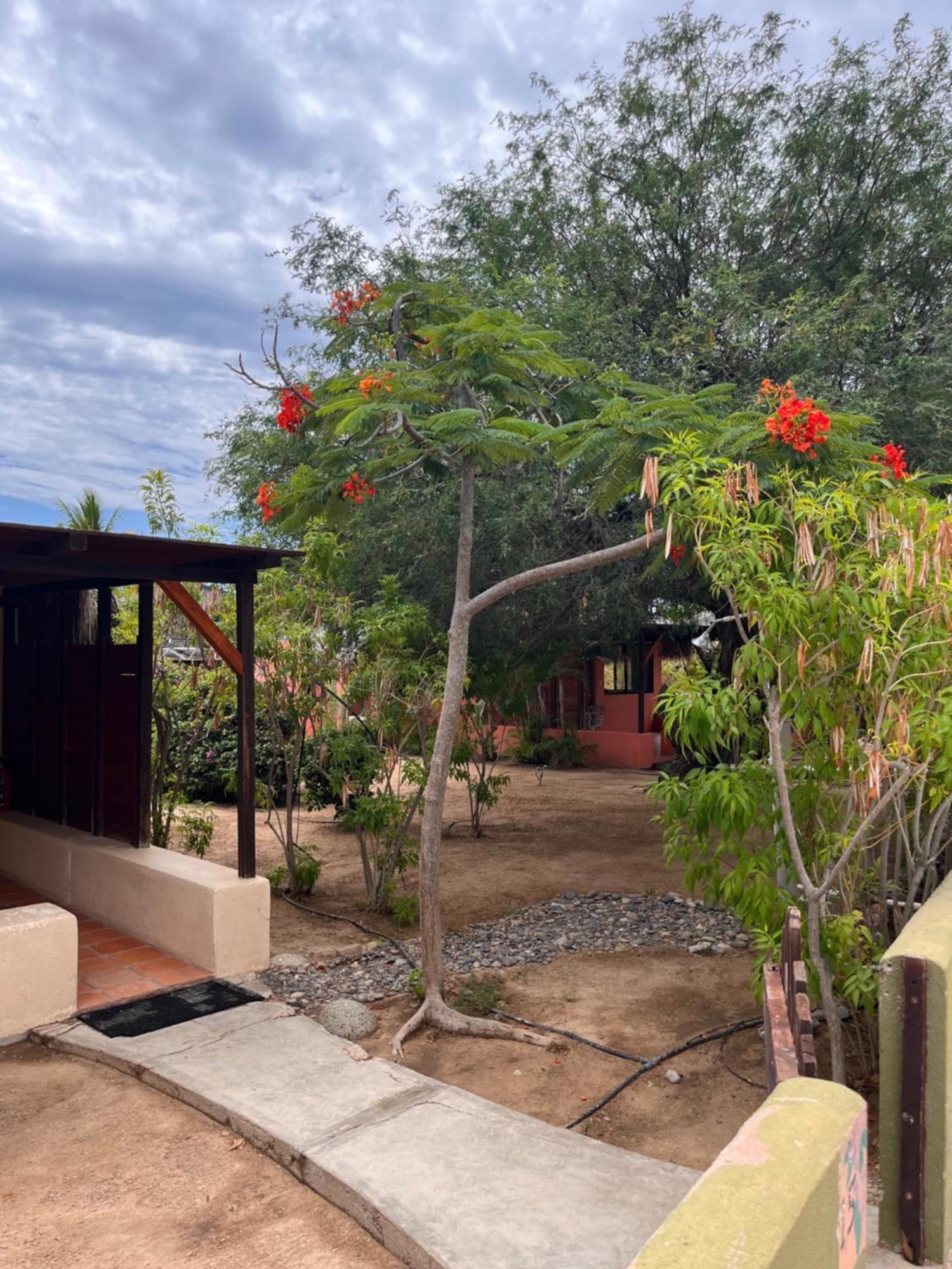 Cabo Pulmo Beach Resort Exterior foto